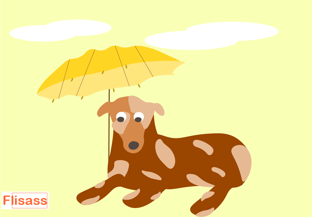 O cachorro sob o guarda-chuva