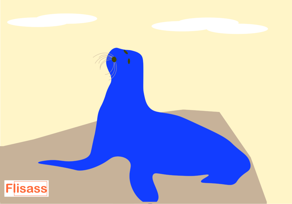 The bluish sea lion